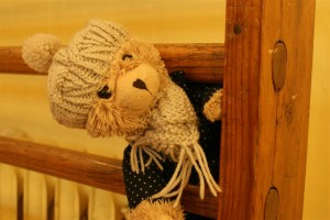 SONY DSC